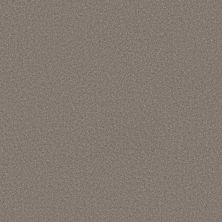 Shaw Floors Believe Creek Bed 00735_5E893