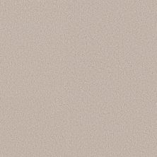 Shaw Floors SIMPLY THE BEST Pure Affection S Sparkling Water 00101_5E889