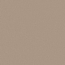 Shaw Floors SIMPLY THE BEST Pure Affection S Loft 00103_5E889