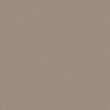 Shaw Floors SIMPLY THE BEST Pure Affection S On The Edge 00104_5E889