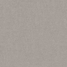 Shaw Floors SIMPLY THE BEST Pure Affection S Chain Reaction 00501_5E889