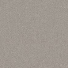 Shaw Floors SIMPLY THE BEST Pure Affection S Still Gray 00503_5E889