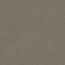 Shaw Floors SIMPLY THE BEST Pure Affection S Pier 00702_5E889