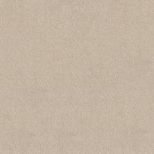 Shaw Floors Pure Affection T Dune View 00120_5E892