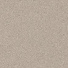 Shaw Floors Pure Affection T Beige Mist 00121_5E892