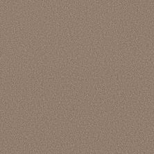 Shaw Floors Pure Affection T Stonecrest 00123_5E892
