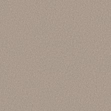 Shaw Floors Pure Affection T Chic Taupe 00124_5E892