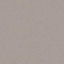 Shaw Floors Pure Affection T Four Winds 00520_5E892