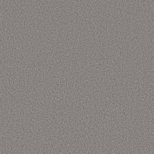 Shaw Floors Pure Affection T Graphic 00522_5E892