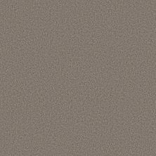 Shaw Floors Pure Affection T Shadows 00524_5E892