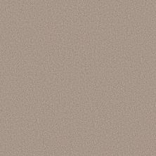 Shaw Floors Pure Affection T Baja 00720_5E892