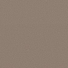 Shaw Floors Pure Affection T Mocha 00721_5E892