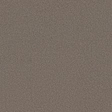 Shaw Floors Pure Affection T Hideaway 00722_5E892