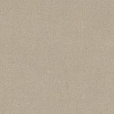 Shaw Floors SFA New Memories T Cafe Latte 00122_EA100