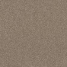 Shaw Floors SFA New Memories T Stonecrest 00123_EA100