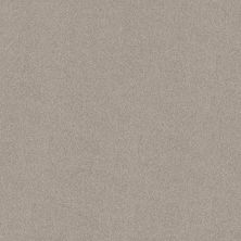 Shaw Floors SFA New Memories T Chic Taupe 00124_EA100
