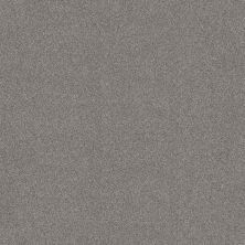 Shaw Floors SFA New Memories T Graphic 00522_EA100