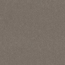 Shaw Floors SFA New Memories T Shadows 00524_EA100