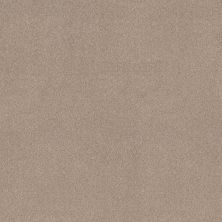 Shaw Floors SFA New Memories T Baja 00720_EA100