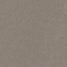 Shaw Floors SFA New Memories T Mocha 00721_EA100