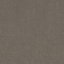 Shaw Floors SFA New Memories T Hideaway 00722_EA100