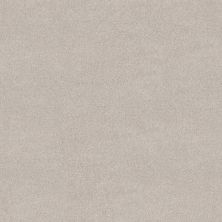 Shaw Floors PET PERFECT PLUS Blended Touch I Crystals 00131_5E885