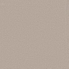 Shaw Floors PET PERFECT PLUS Blended Touch I Venetian Plaster 00132_5E885