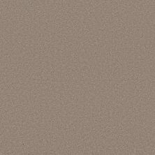 Shaw Floors PET PERFECT PLUS Blended Touch I Wool Blend 00133_5E885