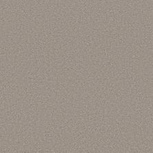 Shaw Floors PET PERFECT PLUS Blended Touch I Fusion 00135_5E885