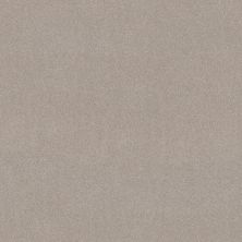 Shaw Floors PET PERFECT PLUS Blended Touch I Shadow 00136_5E885