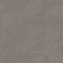 Shaw Floors PET PERFECT PLUS Blended Touch I Concrete 00534_5E885