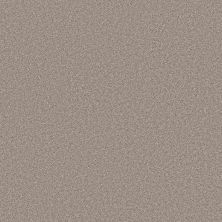 Shaw Floors PET PERFECT PLUS Blended Touch I Pebble Stone 00730_5E885