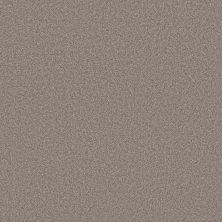 Shaw Floors PET PERFECT PLUS Blended Touch I Houndstooth 00731_5E885