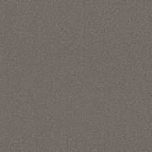 Shaw Floors PET PERFECT PLUS Blended Touch I Baltic Brown 00733_5E885