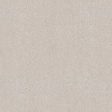 Shaw Floors PET PERFECT PLUS Blended Touch II Kashmir White 00130_5E886