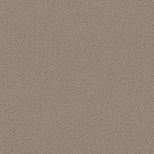 Shaw Floors PET PERFECT PLUS Blended Touch II Wool Blend 00133_5E886