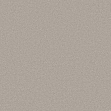 Shaw Floors PET PERFECT PLUS Blended Touch II Raw Silk 00134_5E886