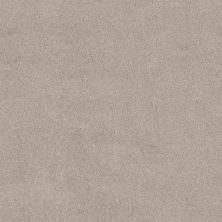 Shaw Floors PET PERFECT PLUS Blended Touch II Luna Pearl 00137_5E886