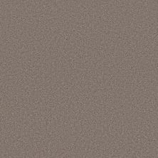 Shaw Floors PET PERFECT PLUS Blended Touch II Newstar 00230_5E886