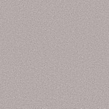 Shaw Floors PET PERFECT PLUS Blended Touch II Marble 00530_5E886