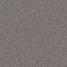 Shaw Floors PET PERFECT PLUS Blended Touch II Gray Granite 00535_5E886