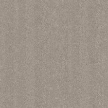 Shaw Floors PET PERFECT PLUS Blended Touch II Pebble Stone 00730_5E886