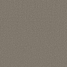 Shaw Floors PET PERFECT PLUS Blended Touch II Houndstooth 00731_5E886