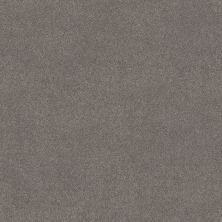 Shaw Floors PET PERFECT PLUS Blended Touch II Wild Rocks 00732_5E886