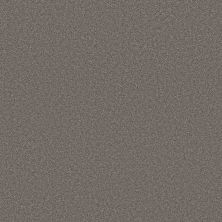 Shaw Floors PET PERFECT PLUS Blended Touch II Baltic Brown 00733_5E886