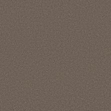 Shaw Floors PET PERFECT PLUS Blended Touch II Tweed 00734_5E886