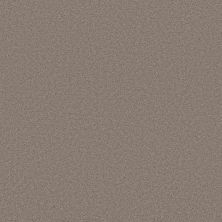 Shaw Floors PET PERFECT PLUS Blended Touch II Mocha 00735_5E886