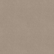 Anderson Tuftex Value Collections Ts456 Neutral Ground 00213_TS456