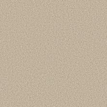 Anderson Tuftex Mira Nova Soft Linen 00120_ZZ379