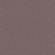 Anderson Tuftex Mira Nova Reverie 00950_ZZ379